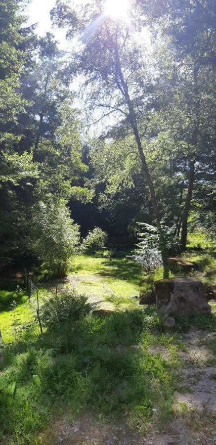 Gite De La Baerenbach Haselbourg Zewnętrze zdjęcie